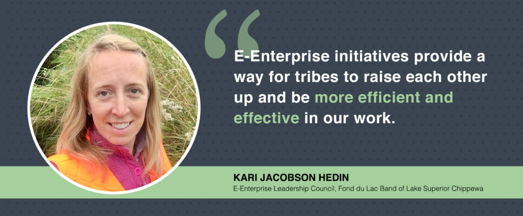 Kari Hedin Reflects on E Enterprise Projects and Lessons Learned